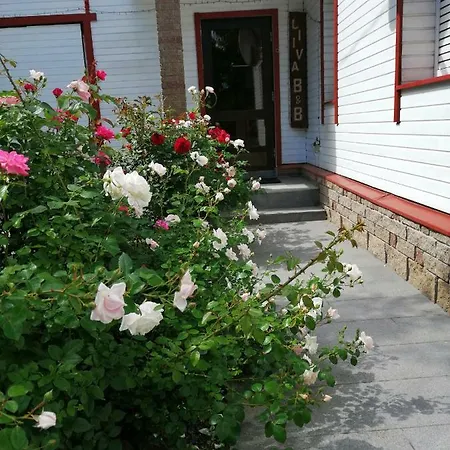 게스트하우스 Liiva Guest Accommodation,free Parking *