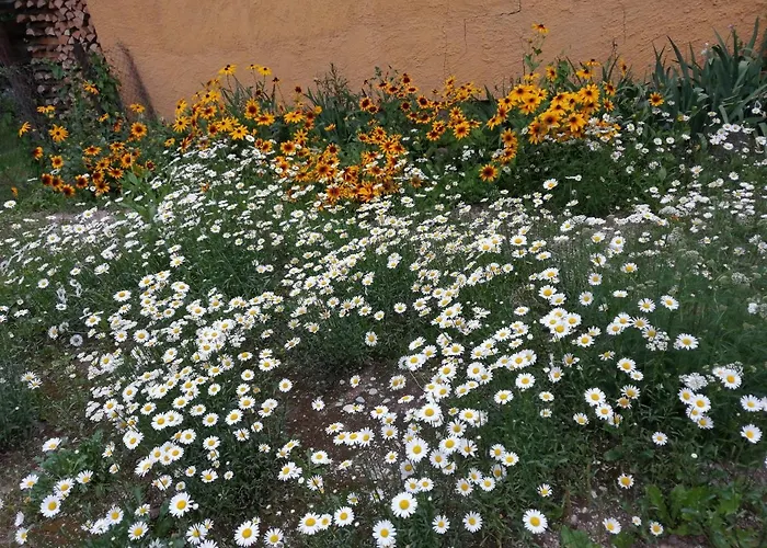 Guest house Liiva Guest Tartu