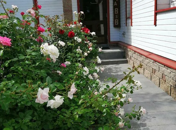 Guest house Liiva Guest *